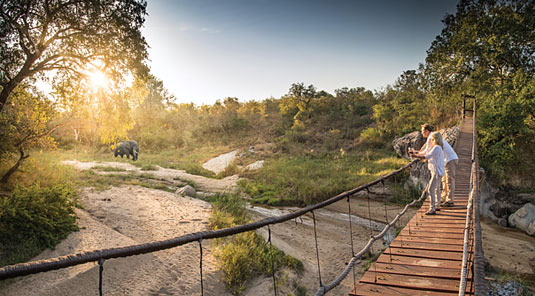 Big Five Elephant Game walks Sabi Sand Game Reserve Dulini Safari Lodge Luxury Safari Lodge Bookings South Africa