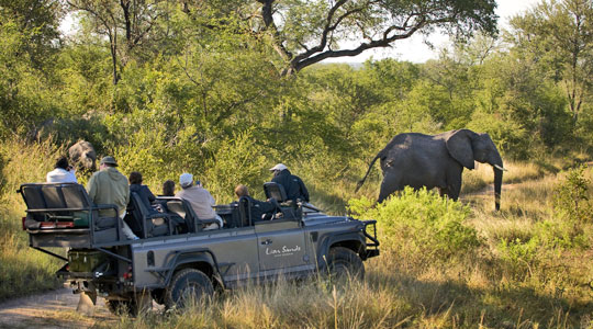 Elephant Sighting, Lion Sand Ivory Lodge offers daily game drives in the big five Sabi Sand Private Game Reserve located in South Africa