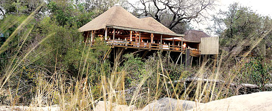 Safari Lodge Booking Founder's Camp Londolozi Game Reserve Sabi Sand Private Game Reserve