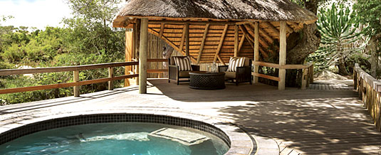 Swimming Pool Founders Camp Londolozi Private Game Reserve Sabi Sand Private Game Reserve Accommodation Booking