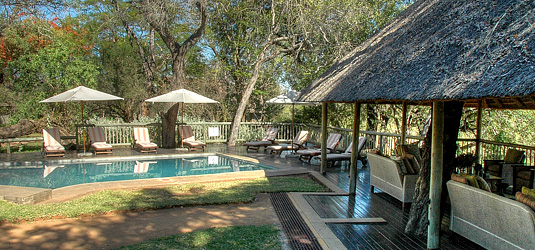 Sabi Sabi Selati Camp Swimming pool Deck Luxury Accommodation Sabi Sabi Private Sabi Sands Reserve Lodge bookings