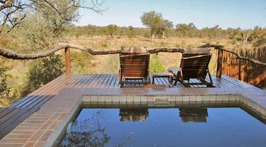 Simbambili Game Lodge Sabi Sands Private Suite plunge pool Luxury Accommodation Sabi Sands Reserve Accommodation bookings
