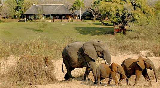 Main Lodge Elephants Inyati Game Lodge Sabi Sand Game Reserve Luxury Safari Lodge Accommodation Booking